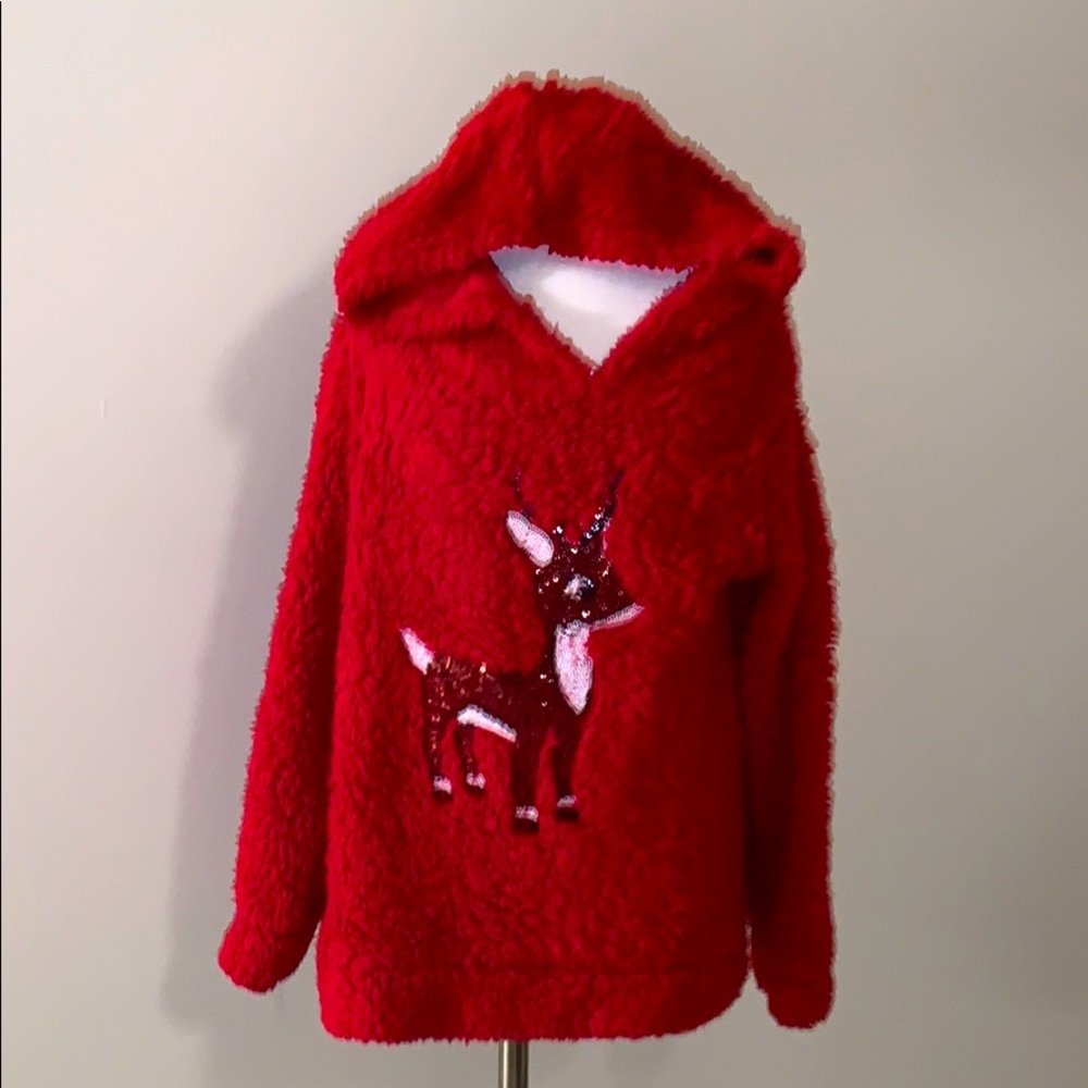 Holiday Hoodie